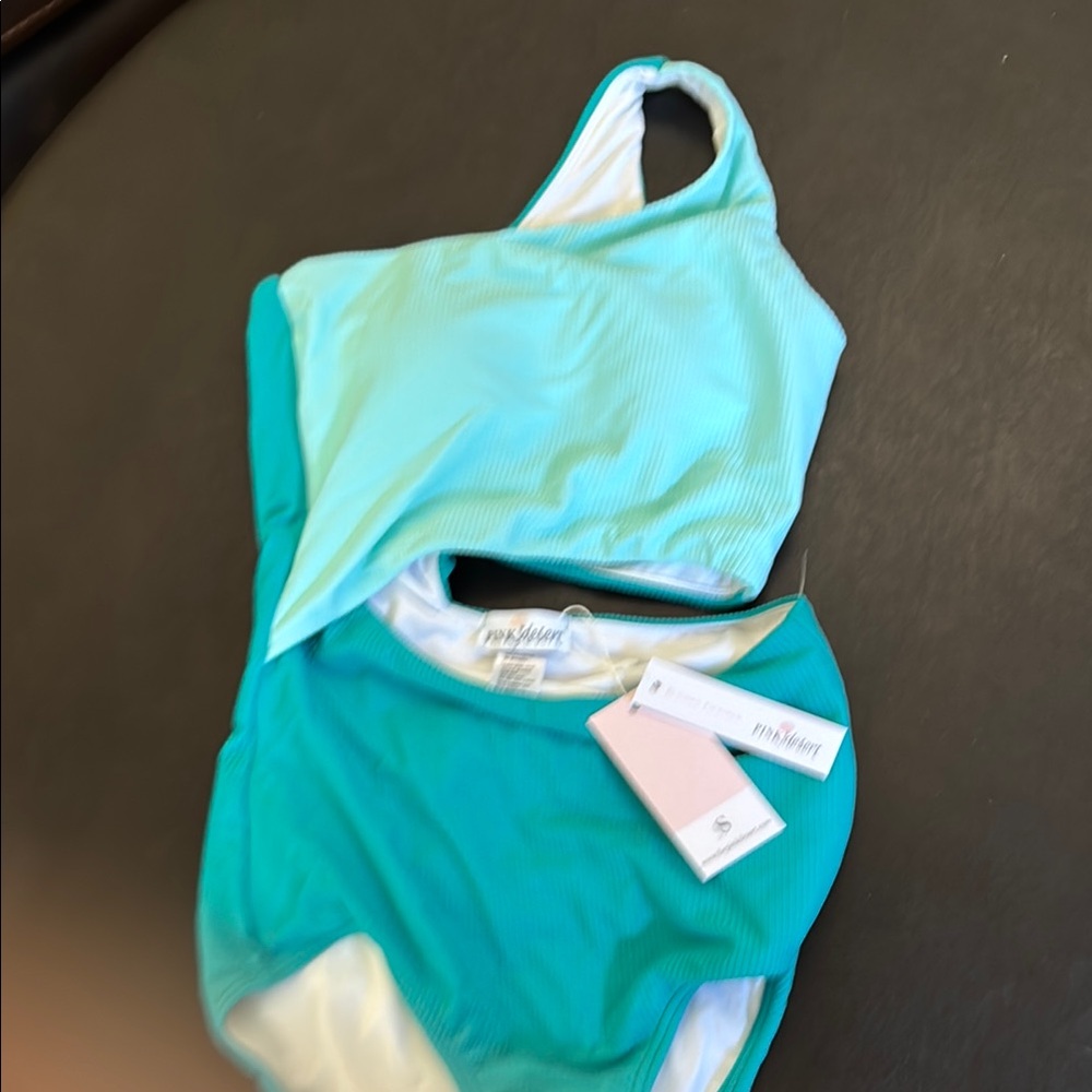 PINK DESERT Teal and Mint One Piece Swimsuit NWT